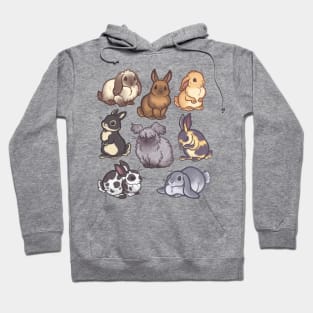 Bunnies Hoodie